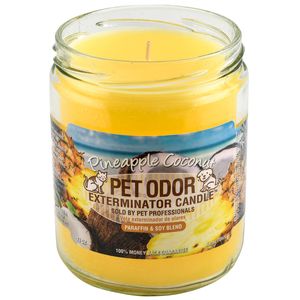 Pet Odor Exterminator Candle, Pineapple Coconut, 13 oz