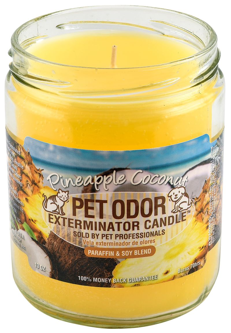 Pet Odor Exterminator Candle, Pineapple Coconut, 13 oz Jeffers
