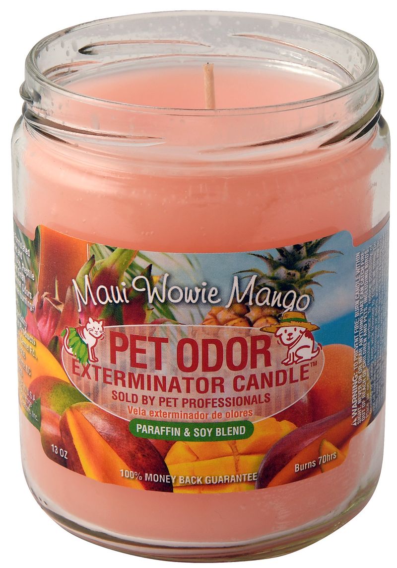 Pet-Odor-Exterminator-Candle-Maui-Wowie-Mango