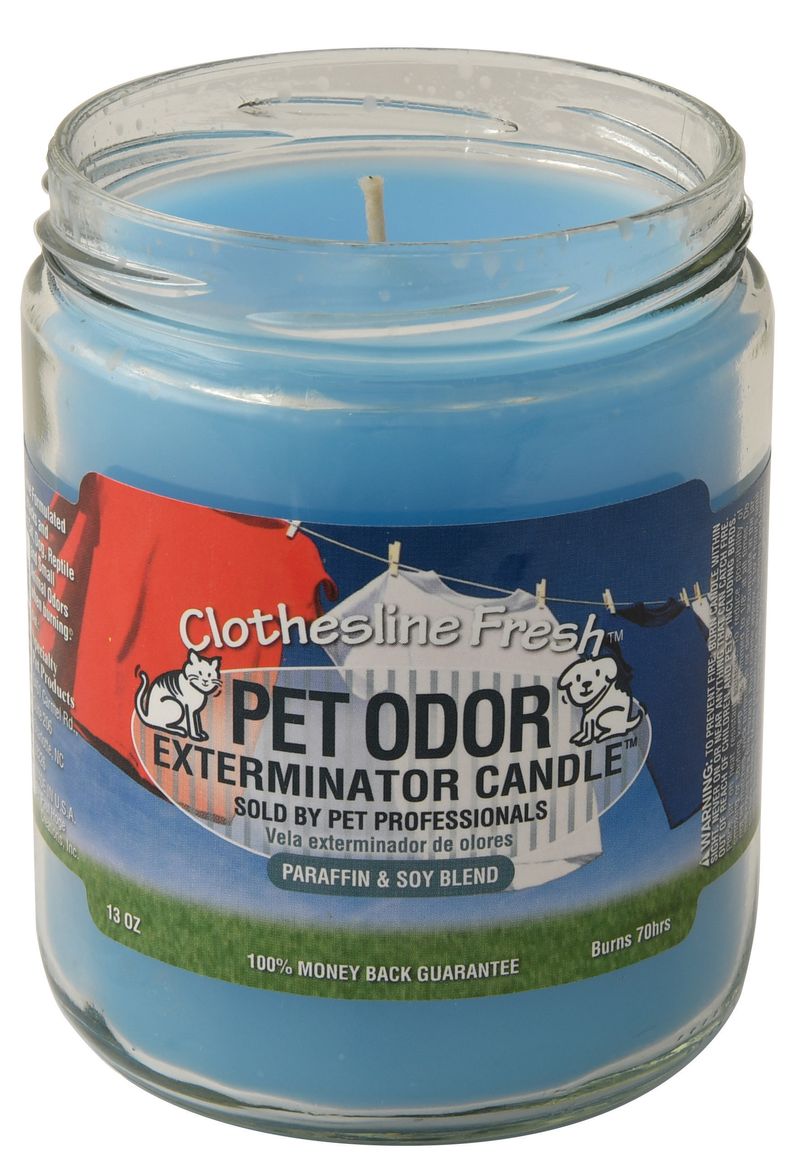 Pet odour outlet exterminator candle