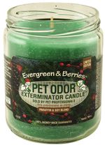 Pet-Odor-Exterminator-Candle-Evergreen---Berries