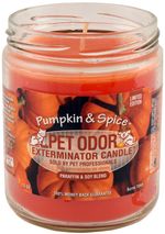 Pet-Odor-Exterminator-Candle-Pumpkin---Spice