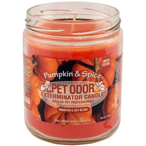 Pet Odor Exterminator Candle, Pumpkin & Spice
