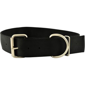 2" Big Dog Collars, 16.5"-21"L