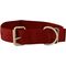 Jeffers 2" Big Dog Collars, 16.5"-21"L