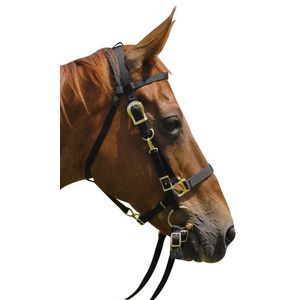 Jeffers Bridle & Halter Combo with Reins