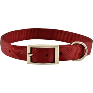 1" Nylon Dog Collar, 22"L