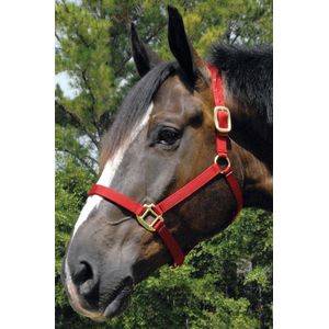 Premium Horse Halter, 600-900 lb (3-ply, 1")