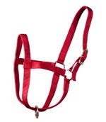 Nylon-Cow-Halter---Large--750-1000-lb-