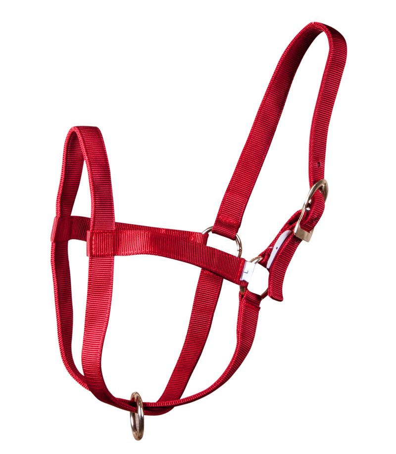 Nylon-Cow-Halter---Large--750-1000-lb-