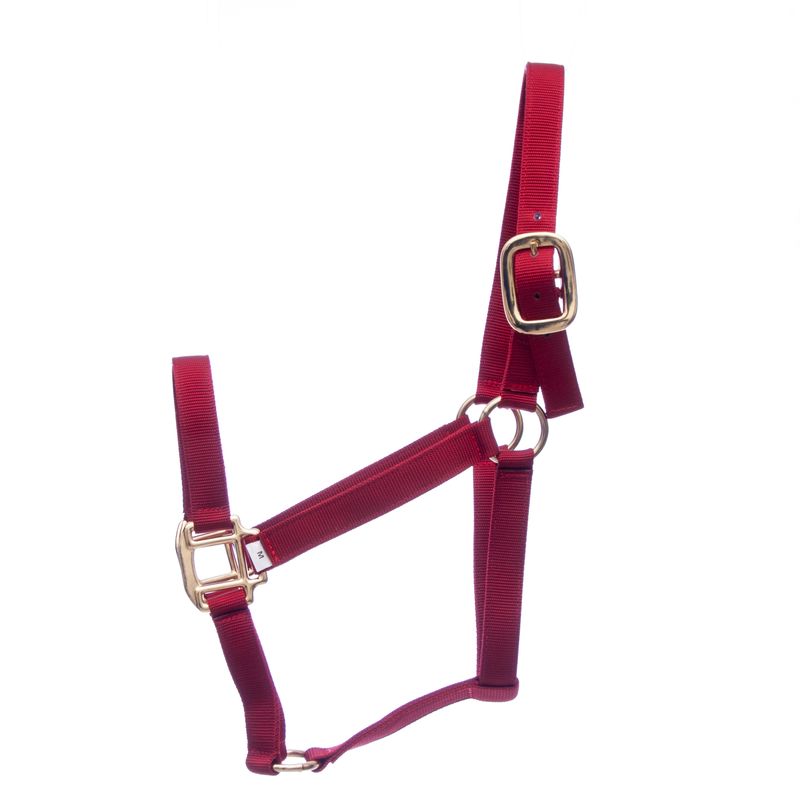 Premium Nylon Horse Halters, 600900 lb (3ply, 1") Jeffers