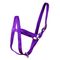 Nylon Cow Halter - Large (750-1000 lb)