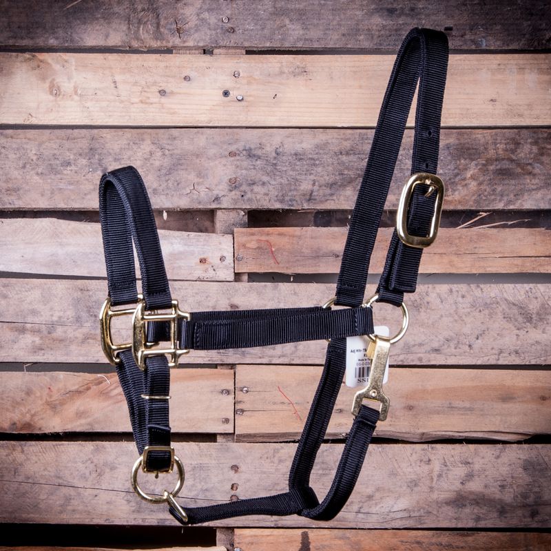 Jeffers Adjustable Nylon Horse Halter - Jeffers