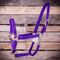 Adjustable Horse Halter with Throat Snap, (600-900 lb)