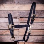 Adjustable-Halter-with-Throat-Snap-Arabian--500-800-lb-