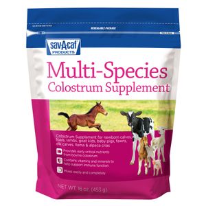 Multi-Species Colostrum Supplement, 16 oz
