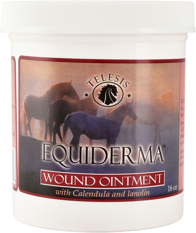 Equiderma-Wound-Ointment