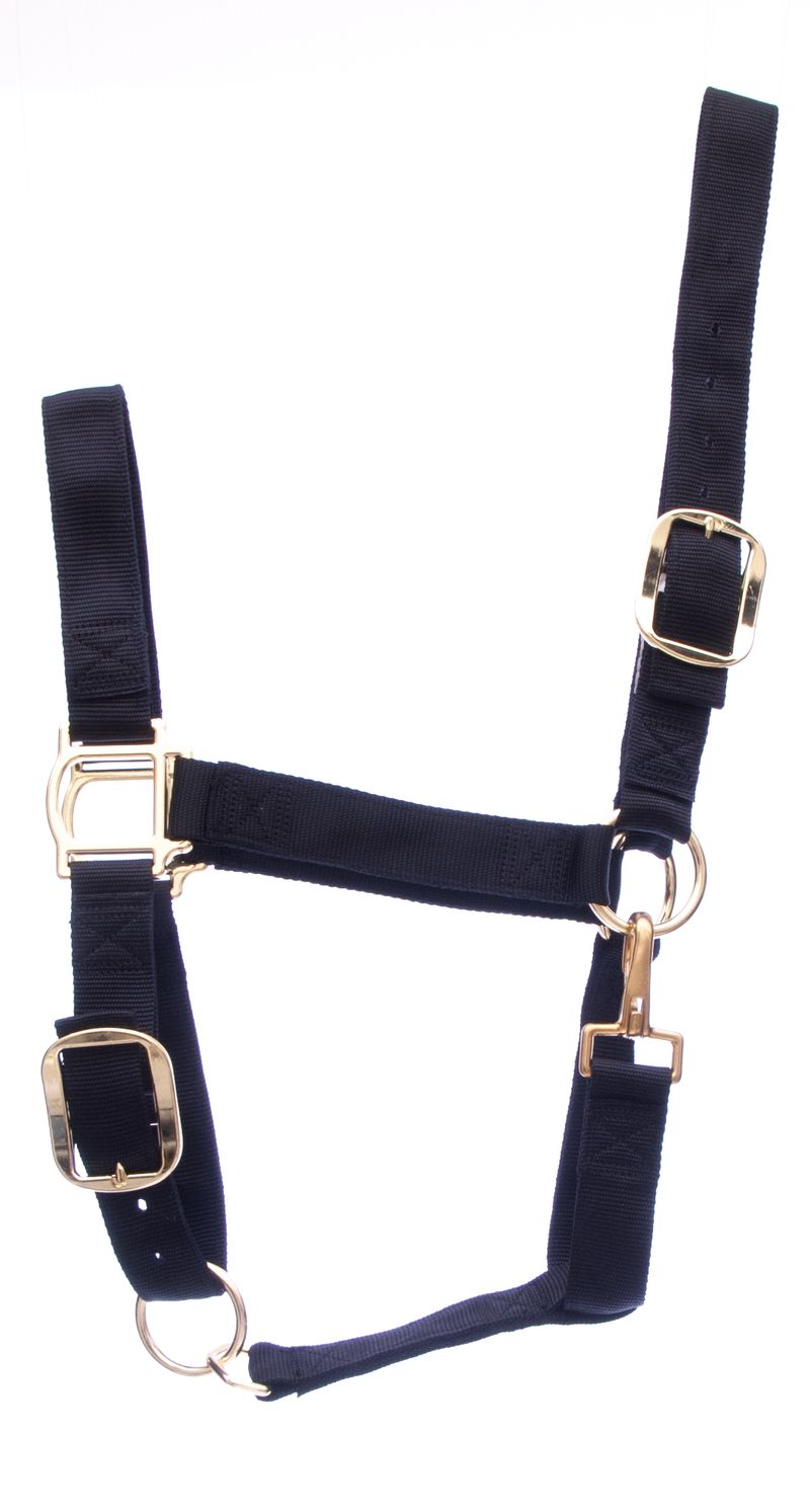Draft Horse Halter, Regular (1400 1700 lb) Jeffers