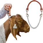 Goat-Show-Collar
