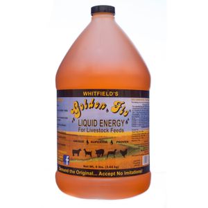 Livestock Golden Flo Liquid Energy, gallon