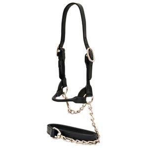 Weaver Leather Classic Rounded Cattle Show Halter, Large