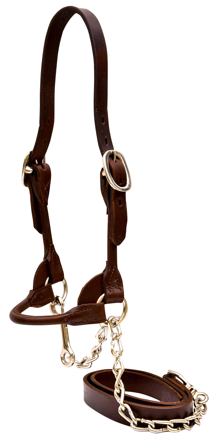 Classic-Rounded-Cattle-Show-Halter-Small
