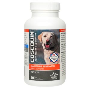 Cosequin Maximum Strength Joint Support with MSM
