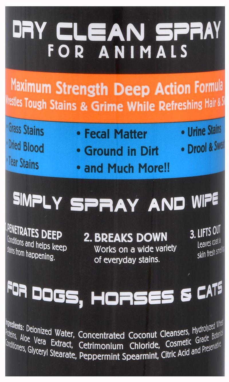 16-oz-One-Shot-Dry-Clean-Spray