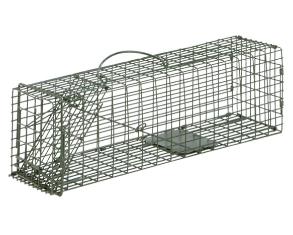 Heavy Duty Catch Release X-Large Live Humane Animal Cage Trap