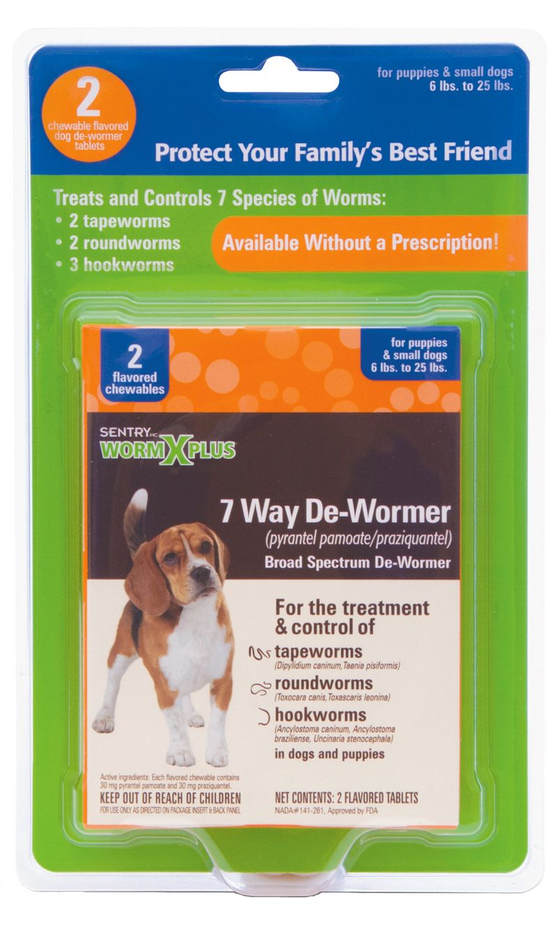 Praziquantel for dogs on sale over the counter