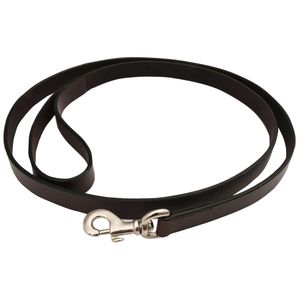 Jeffers Premium Flat Leather Leash, 6'
