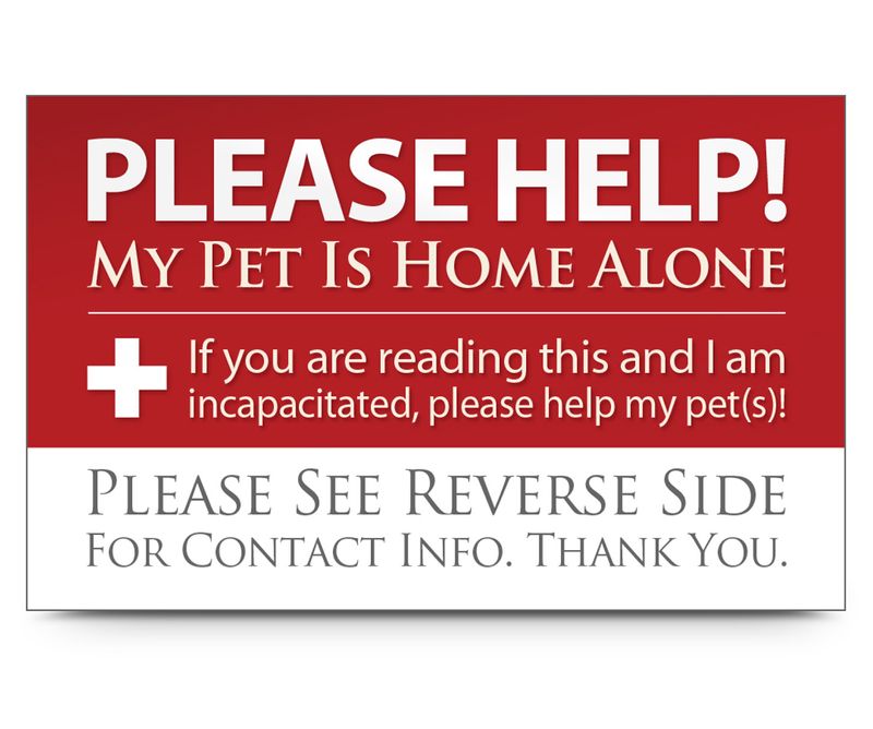 My Pet Is Home Alone Emergency Card Jeffers   567210 800 Auto