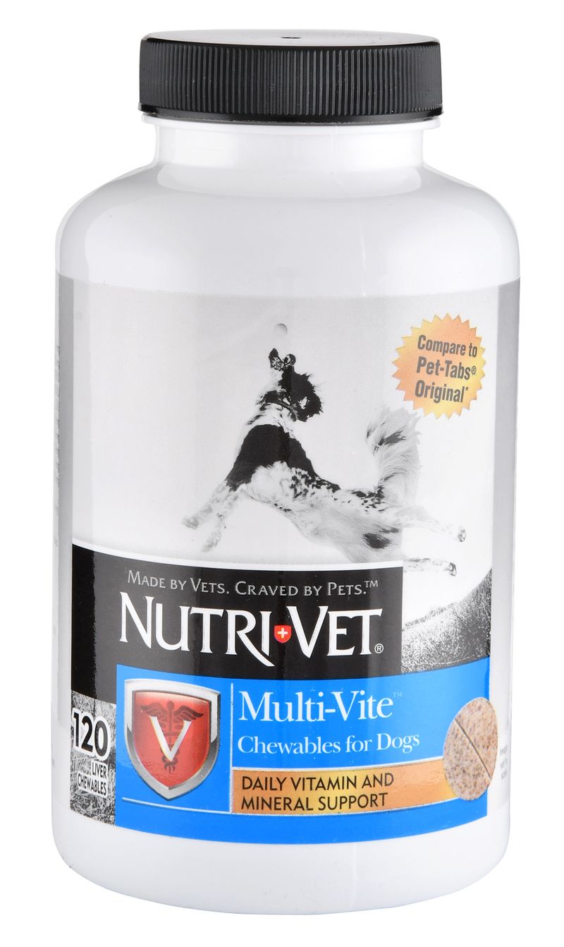 Vit e 2025 for dogs