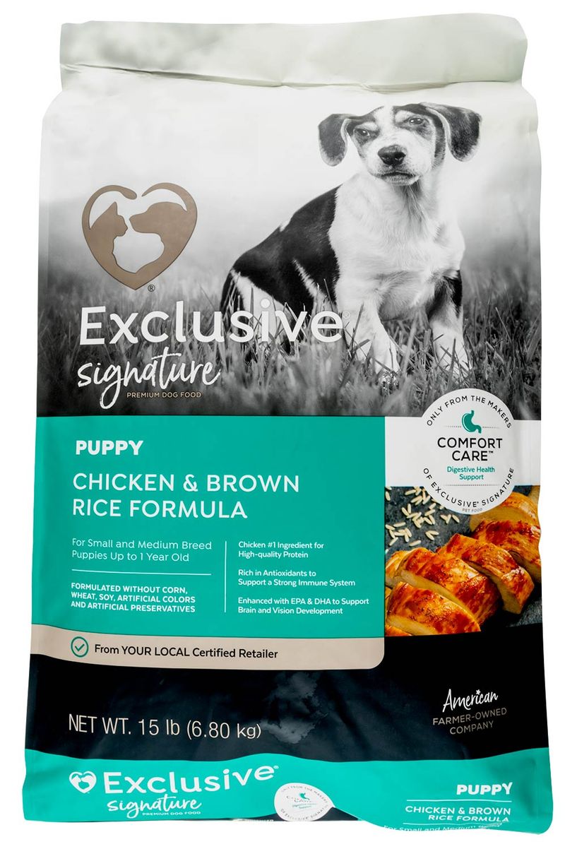 Purina exclusive hot sale dog food