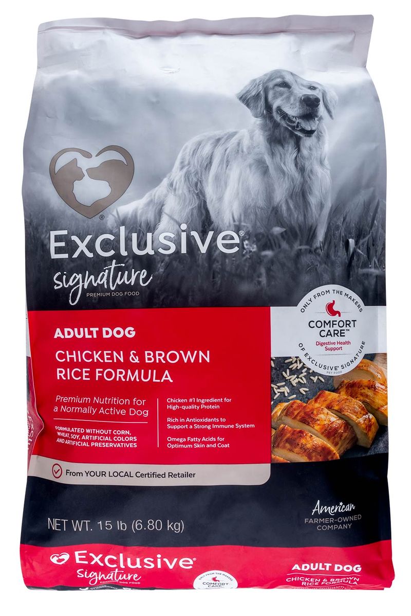 Large breed dog outlet food without chicken