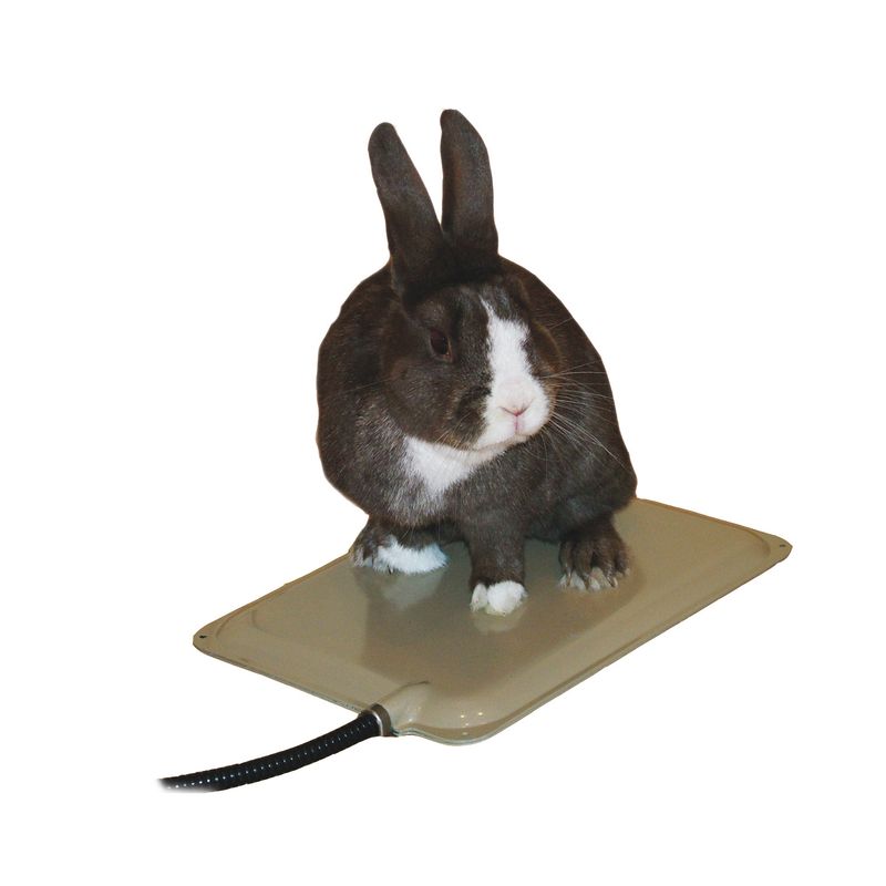 K-H-Small-Animal-Heated-Pad----Accessories-