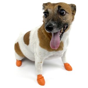 PawZ Dog Boots (12-pack)