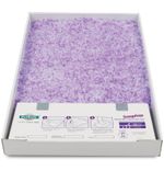 ScoopFree-Replacement-Tray-Lavender-each