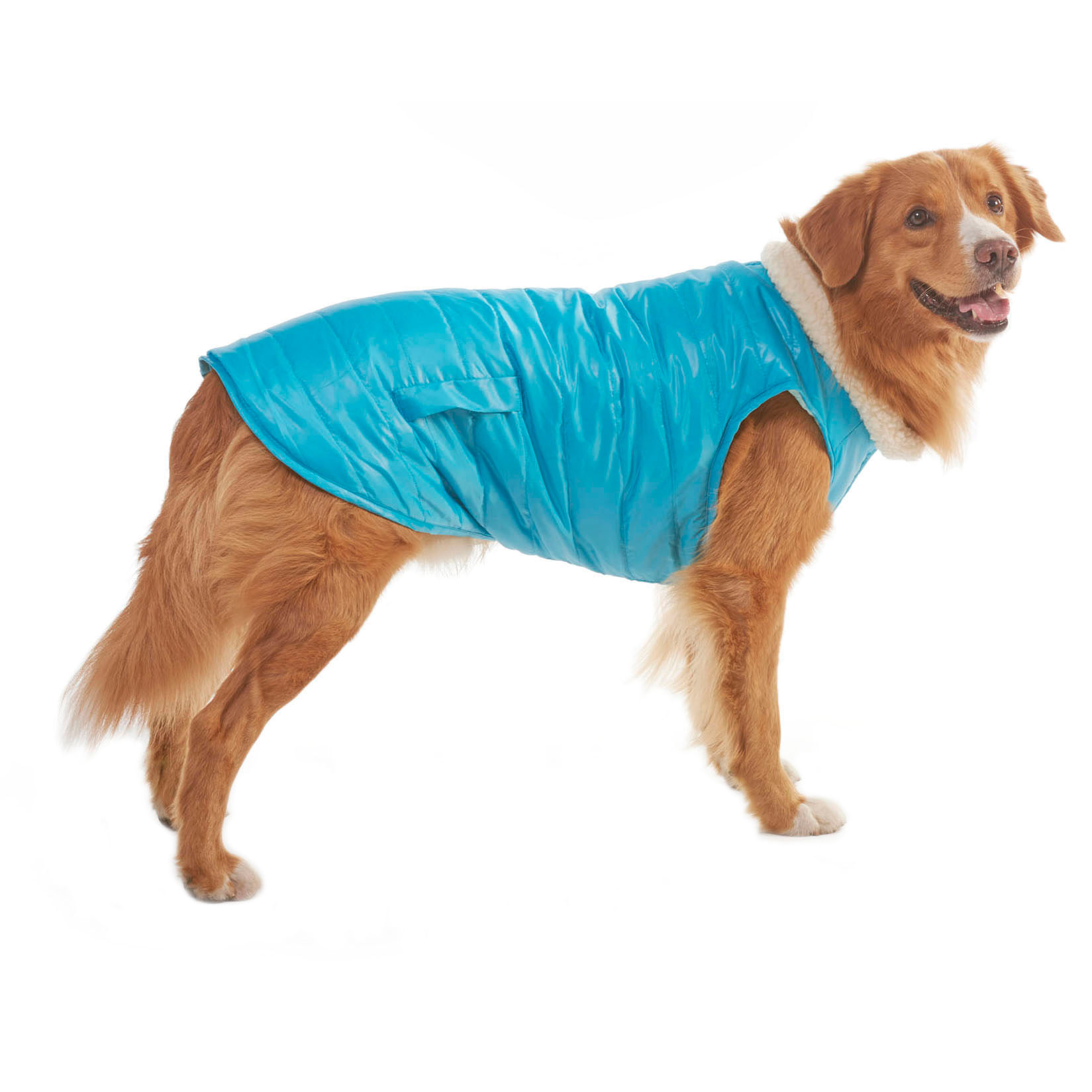 Blue Reversible Puffy Dog Coat - Jeffers