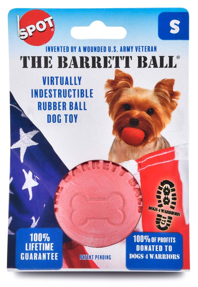 Virtually indestructible ball outlet dog toy