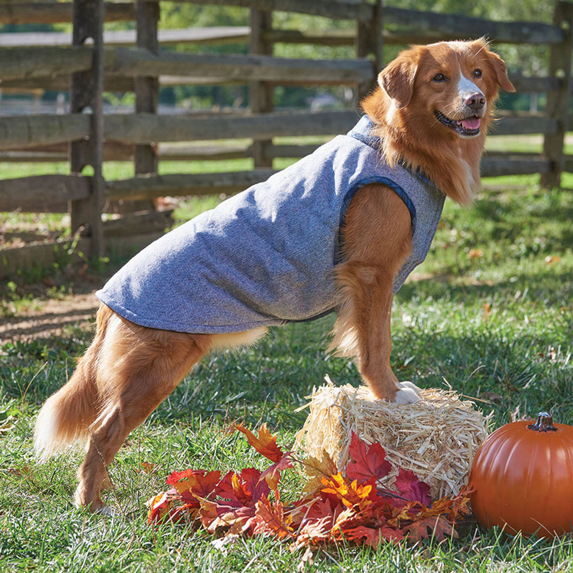 Reversible Tweed & Fleece Dog Coat, Blue Jeffers