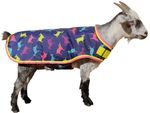 Small-Jeffers-Exclusive-Goat-Blanket