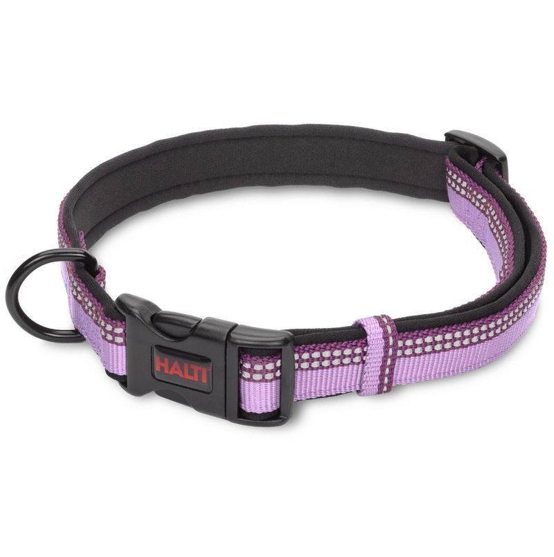 Halti Dog Collar, Purple Jeffers