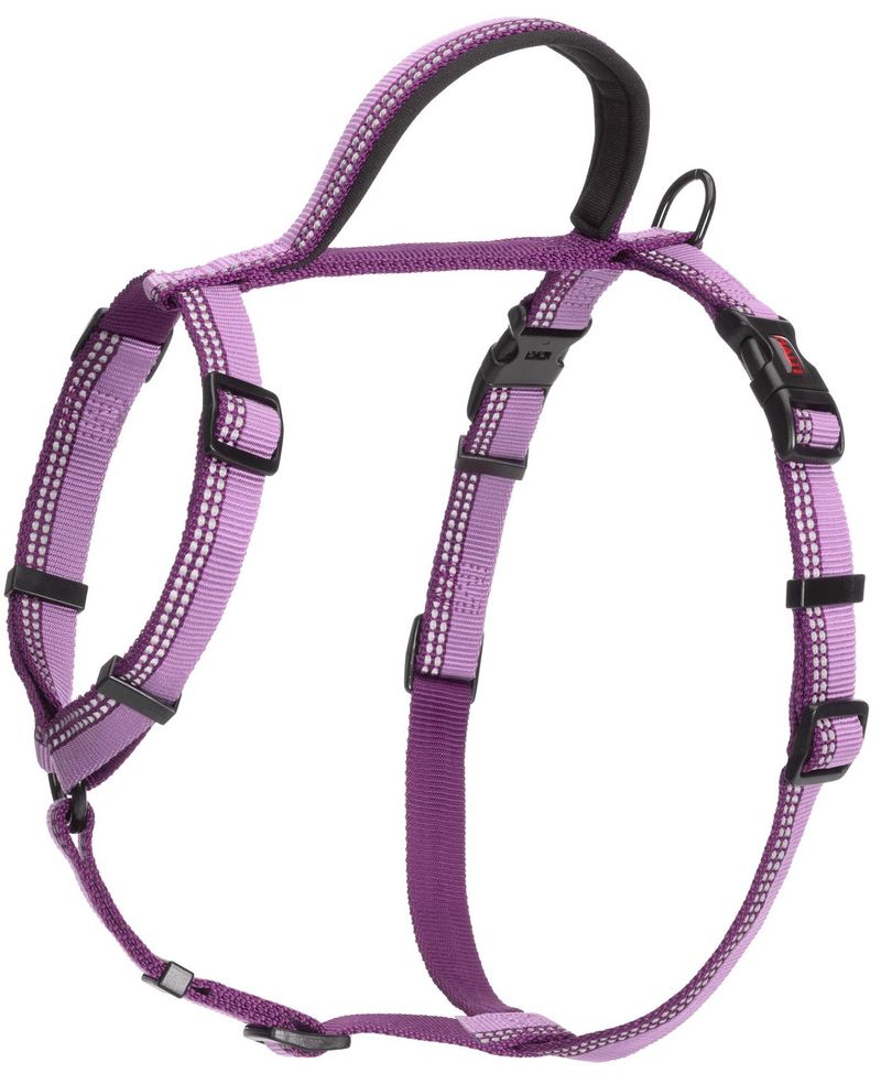 Halti-Walking-Harness-Purple-Medium