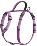 Large-Walking-Harness-Purple