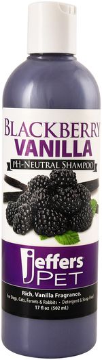 Jeffers-Blackberry-Vanilla-Shampoo-17-oz