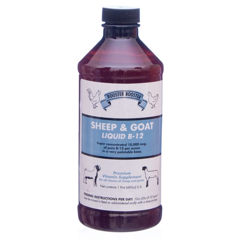 Sheep & Goat Liquid B-12 By Rooster Booster® - Jeffers