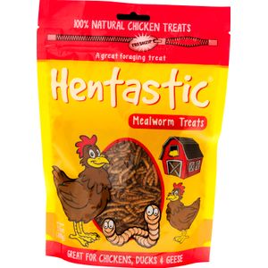 Hentastic Dried Mealworms