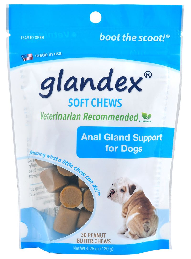 Glandex Anal Gland Soft Chew Treats with Pumpkin for Dogs Chews with  Digestive Enzymes, Probiotics Fiber Supplement for Dogs – Vet Recommended -  Boot The Scoot (30ct Chew) 