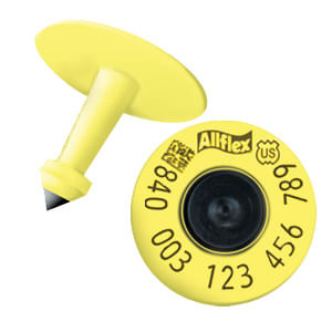 20-USDA-840-FDX-EID-Tags-Yellow